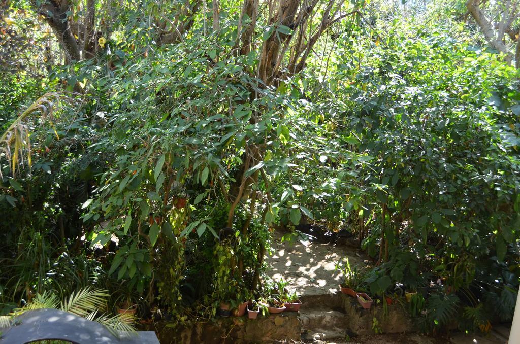 Hotel Bio Calli Tlayacapan Δωμάτιο φωτογραφία