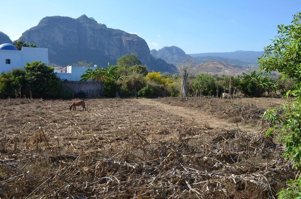 Hotel Bio Calli Tlayacapan Δωμάτιο φωτογραφία